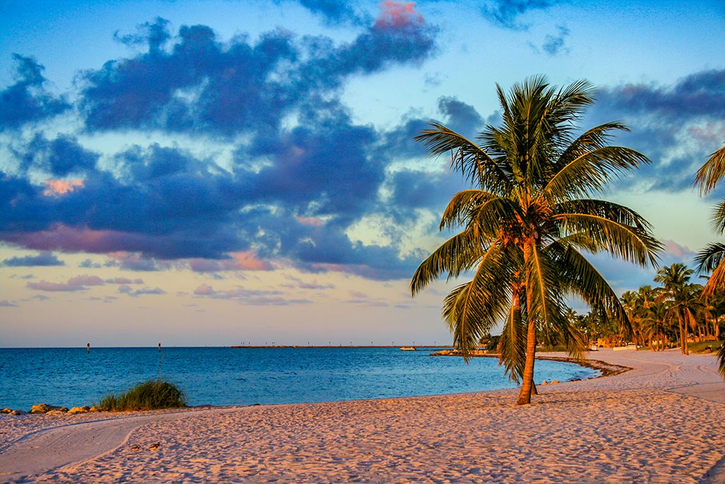 A palm tree stands on a sandy beach at sunset in the florida keys, with calm blue ocean water and colorful clouds. Perfect for spring break, the sunlight casts warm hues on the sand and illuminates the palm leaves.