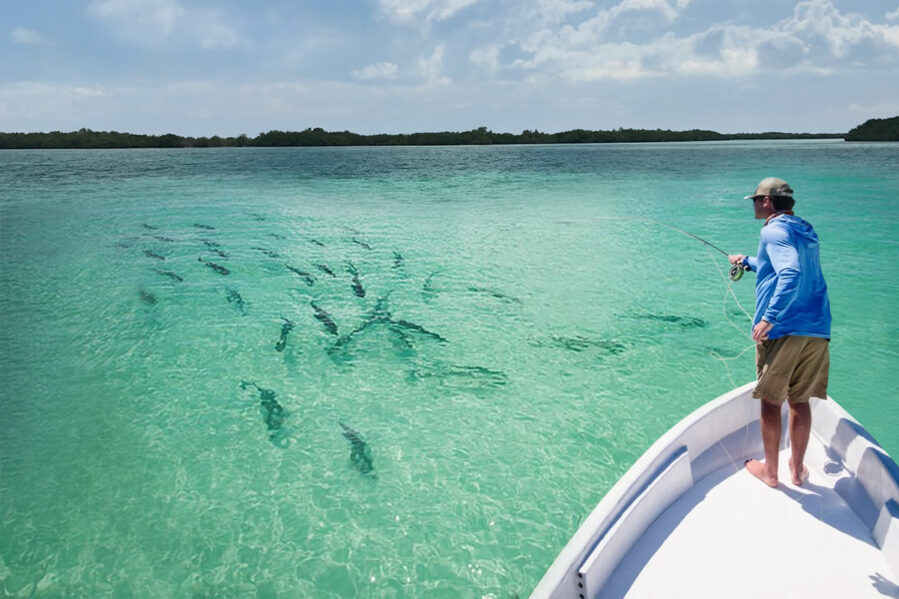 A person stands on the bow of a boat in clear, shallow turquoise water, casting a fishing line toward a school of fish swimming near the surface. Trees line the horizon under a partly cloudy sky.