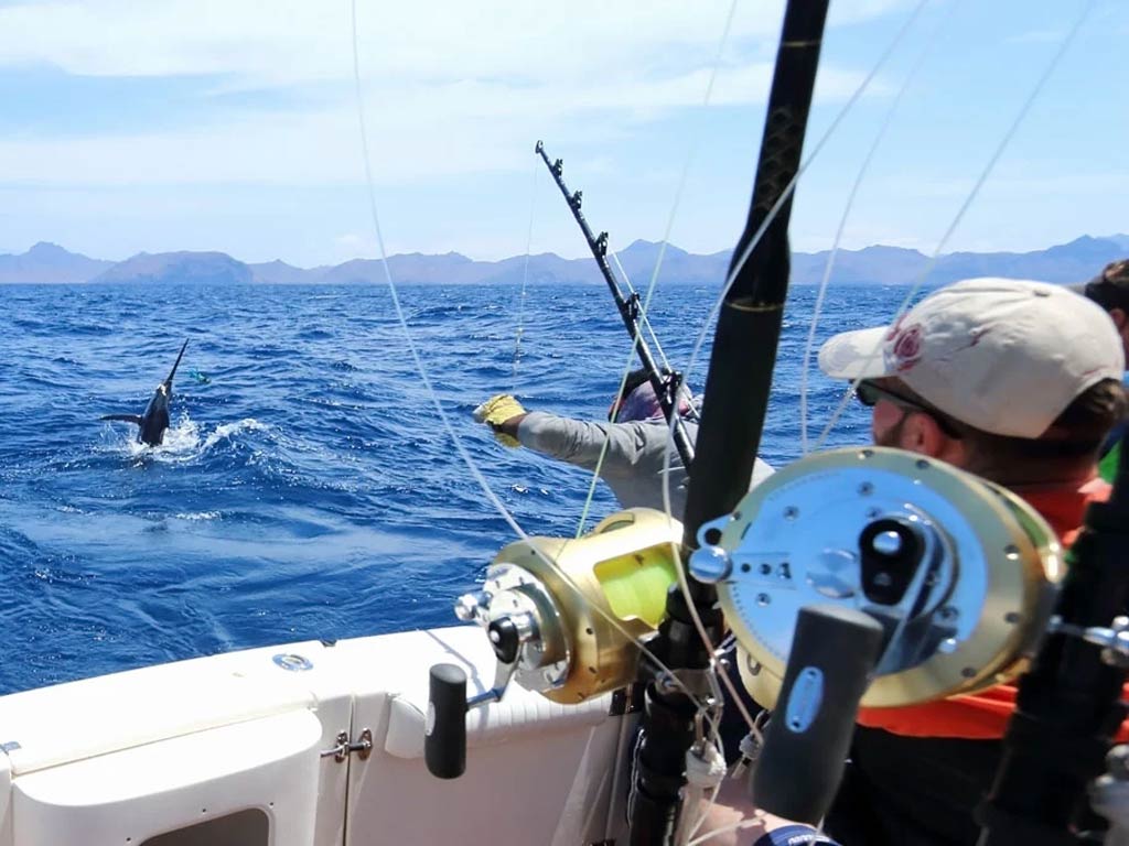 Two people on a boat are fishing in the ocean, with fishing rods visible in the foreground and a large fish splashing near the surface of the water in the background. Mountains are visible on the horizon.