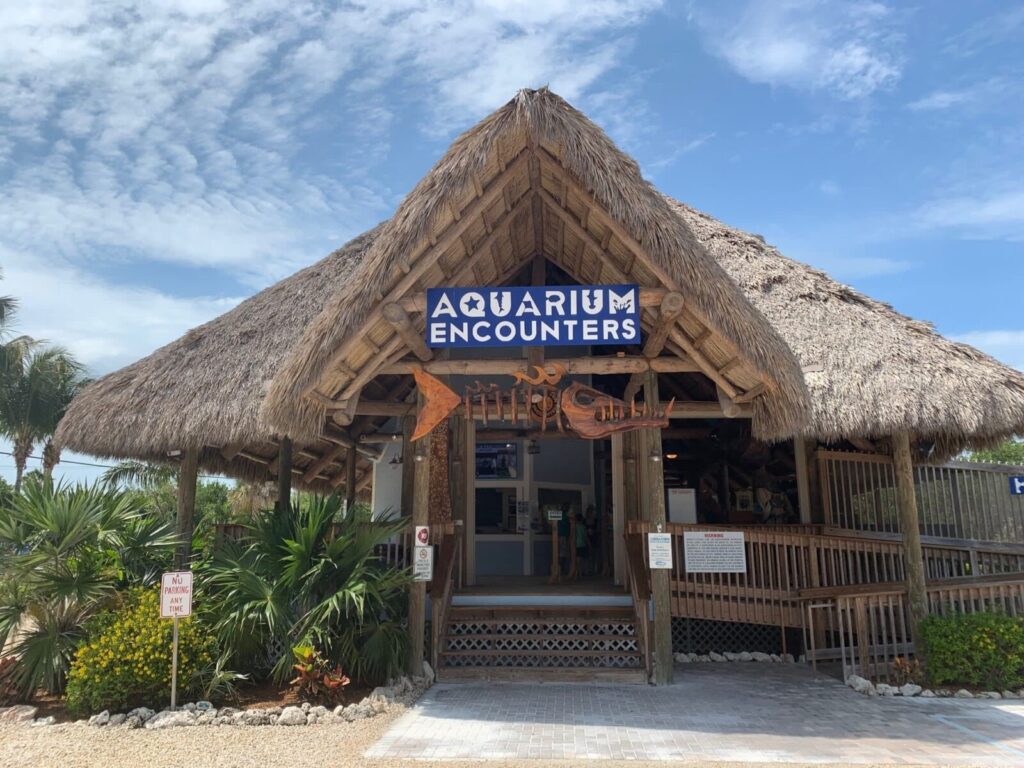 A thatched-roof building with a sign reading aquarium encounters above the entrance, surrounded by palm trees and tropical plants under a partly cloudy sky.