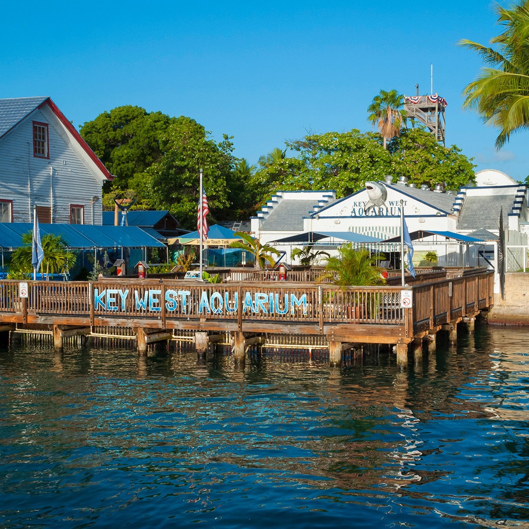 Experience the key west aquarium from the water—spot the dock, waving palms, a proud flagpole, and the iconic building under a clear blue sky. It’s a perfect spring break in the florida keys backdrop.