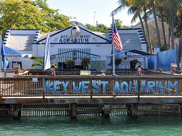 The key west aquarium building, perfect for spring break in the florida keys, features a dolphin statue on the roof, waving american flags, palm trees, and a large "key west aquarium" sign along the waterfront deck.