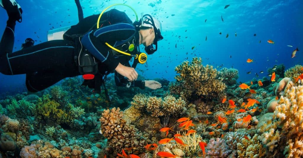 A scuba diver in full gear swims near colorful coral reefs and orange fish in clear blue water, observing the vibrant underwater marine life up close.