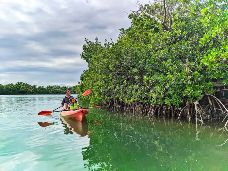 Water sports in marathon: two people paddle a red kayak near lush green mangroves on calm, green water under a cloudy sky.