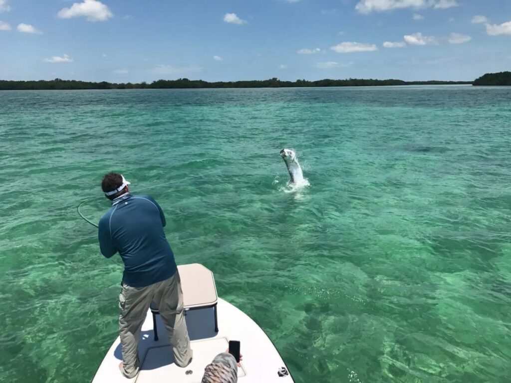 A person stands on a boat in clear turquoise water, fishing. A large fish leaps out of the water in front of them under a sunny blue sky with scattered clouds.