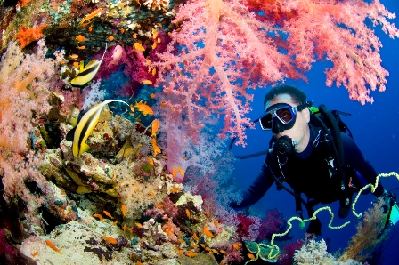 A scuba diver swims near vibrant coral reefs with pink and orange corals, colorful fish, and clear blue water surrounding them.