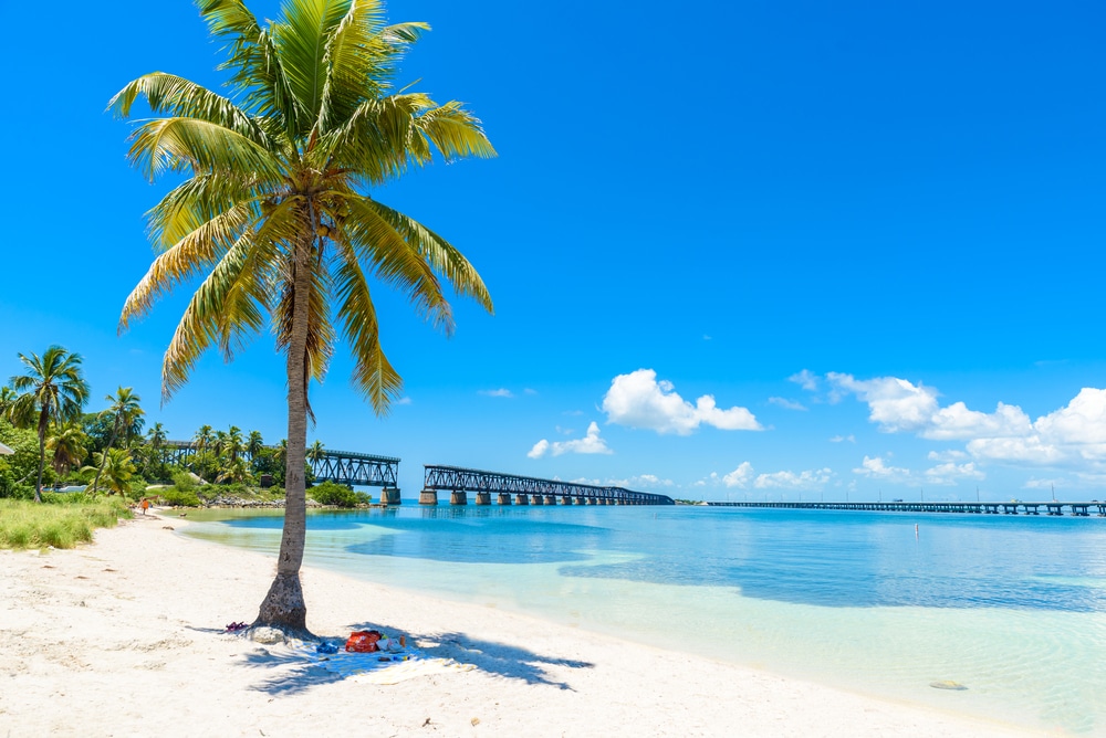 A palm tree stands on a white sandy beach with clear blue water. An old railway bridge extends over the water under a bright blue sky with scattered clouds.
