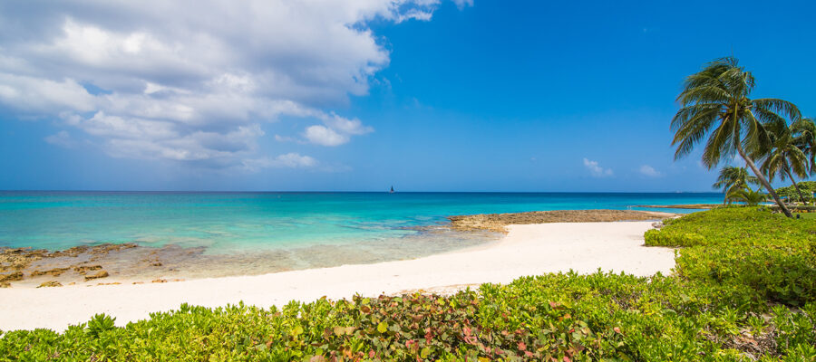 A tropical beach with white sand, turquoise water, green shrubs, and palm trees under a partly cloudy blue sky. Rocky areas border the shoreline, with a sailboat visible on the distant horizon.