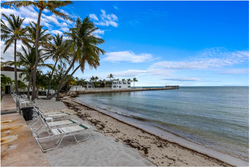 Lounge chairs on a sandy beach lined with palm trees, calm ocean water, and a bright blue sky with scattered clouds; buildings can be seen along the shoreline in the distance.