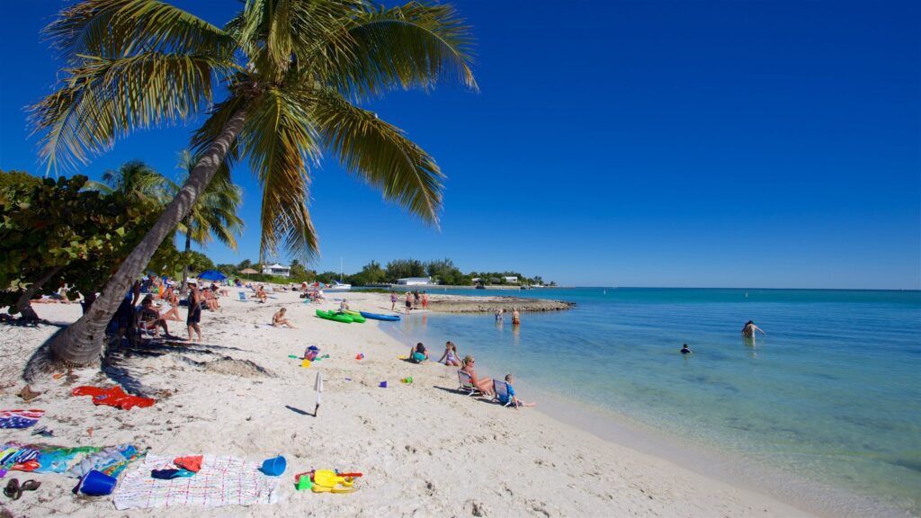 People relax and play on a sandy beach under clear blue skies. Palm trees provide shade, and colorful towels and beach gear are scattered on the sand. The calm turquoise sea stretches out to the horizon.