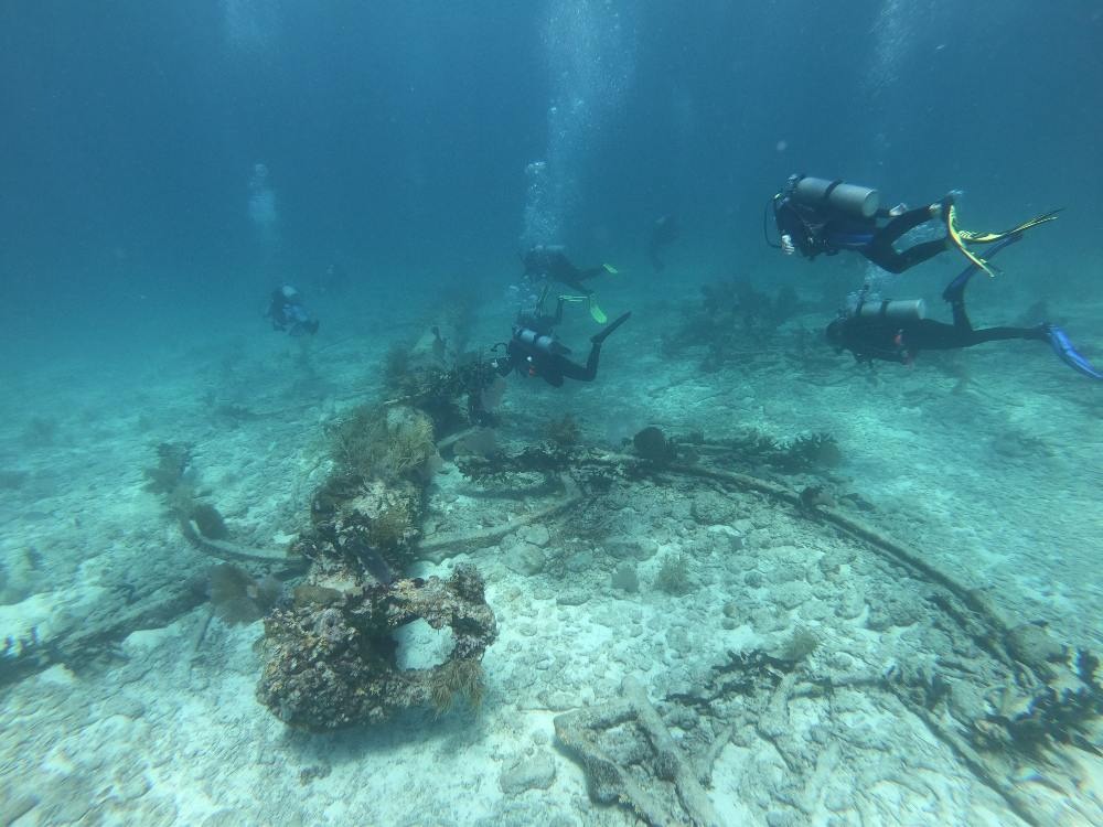 Several scuba divers swim above a sandy ocean floor scattered with coral, seaweed, and a large, rusted anchor. Sunlight filters through the clear blue water, illuminating the underwater scene.