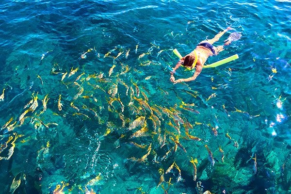 8 day trips from marathon fl you didn't know existed (2026) 8 A person floats on the surface of clear blue water with a green pool noodle, surrounded by a large school of yellow fish swimming below.