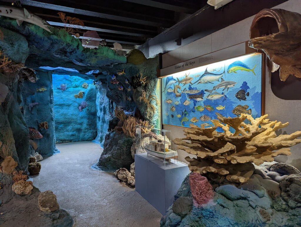 An indoor aquarium exhibit with a cave-like passage, coral, fish models, and a colorful fish identification display on the wall under bright lighting.
