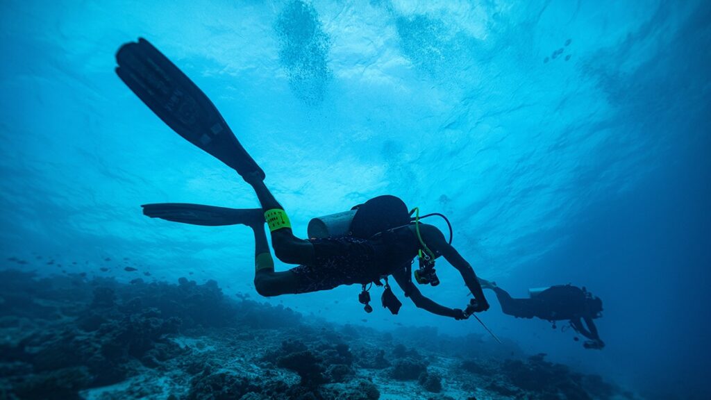 Two scuba divers swim underwater above a coral reef in clear blue ocean water, wearing wetsuits, fins, masks, and oxygen tanks. Sunlight filters down from the surface above.