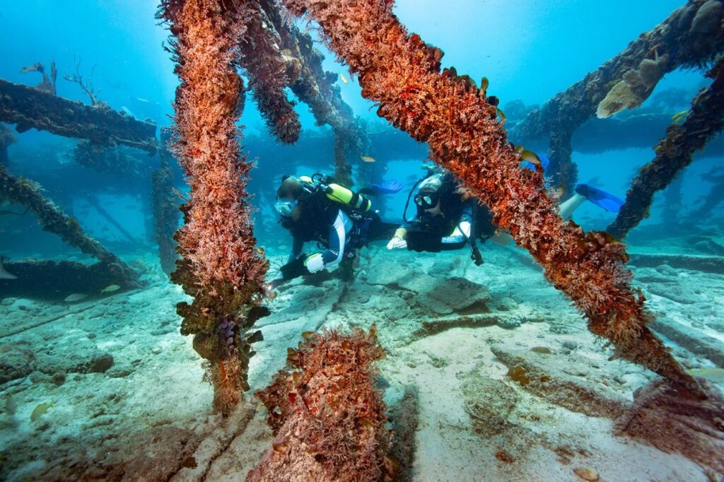 Two scuba divers explore an underwater structure covered in corals and marine life. The sandy ocean floor and blue water surround the rusty metal beams, creating a vibrant aquatic scene.