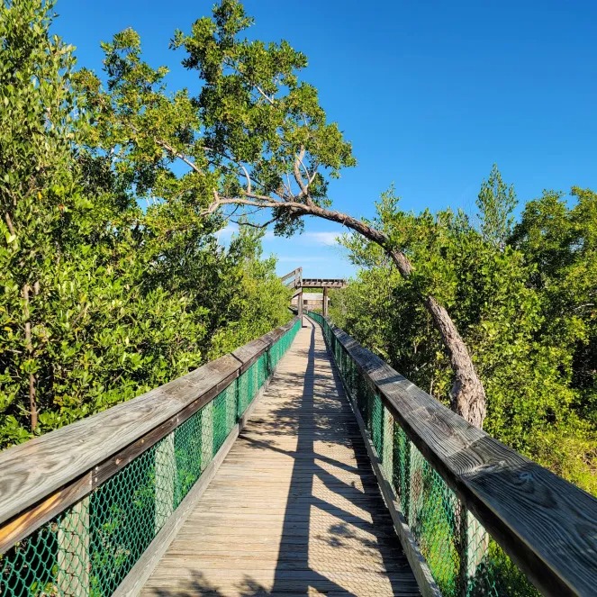 8 day trips from marathon fl you didn't know existed (2026) 9 A wooden boardwalk with green mesh railings leads through lush green trees under a bright blue sky. A tree arches over the walkway, and a shelter is visible in the distance.