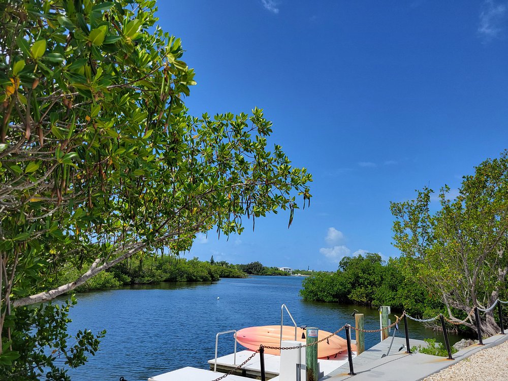 A small dock with a life ring and kayak sits beside calm water, surrounded by green trees under a bright blue sky, with a gravel path on the right.