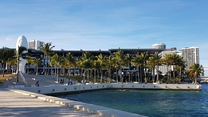 A waterfront park with palm trees, a modern building, and a large white head sculpture; high-rise buildings are visible in the background under a clear blue sky.