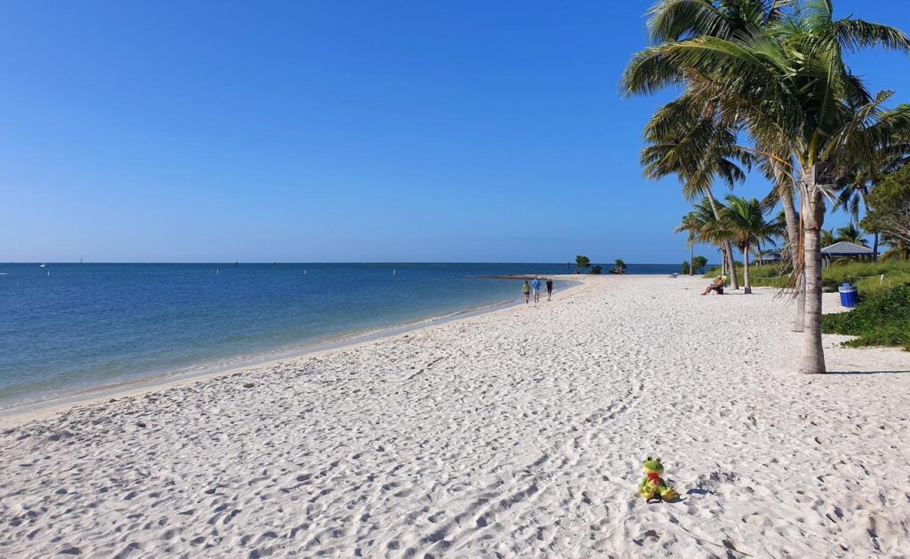 A sandy beach with clear blue water, palm trees, and a few people walking along the shore under a clear sky. A small plush toy is placed on the sand in the foreground.
