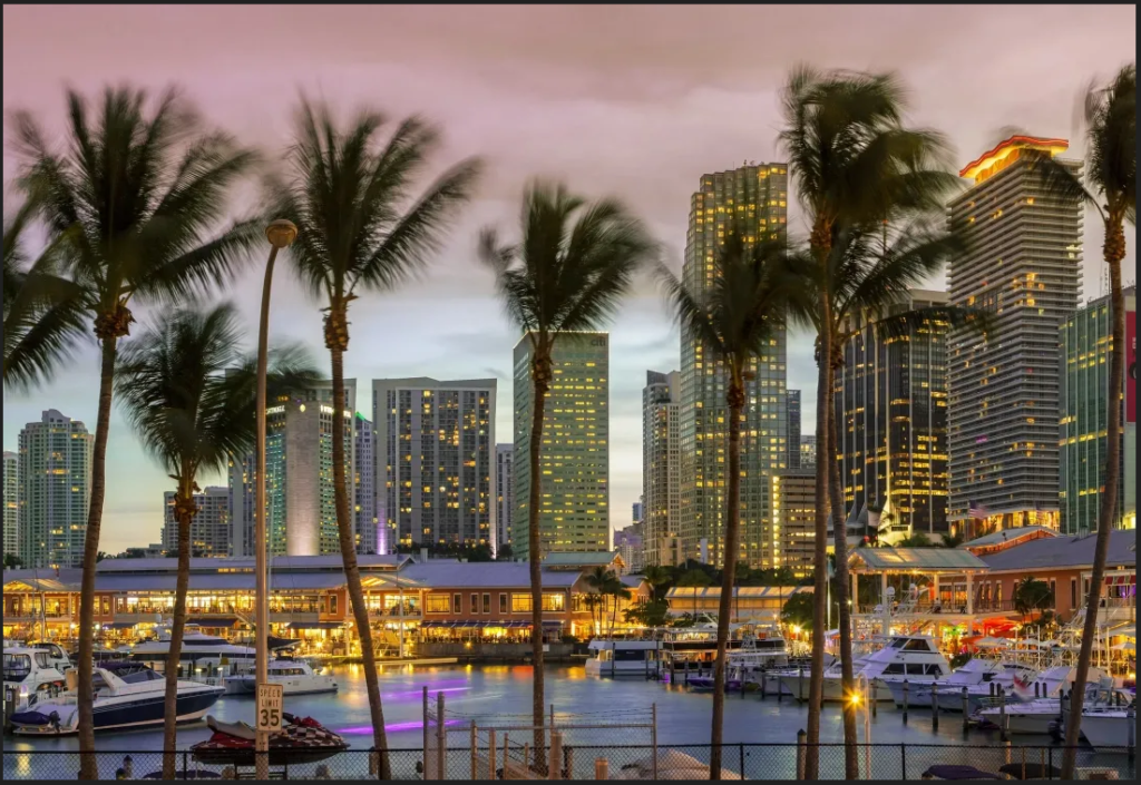 5 best restaurants in miami worth the trip | local picks 2026 2 Tall palm trees sway in front of a city skyline with modern high-rise buildings at dusk. Below, boats are docked at a marina, and waterfront buildings are lit up, reflecting a lively urban atmosphere.