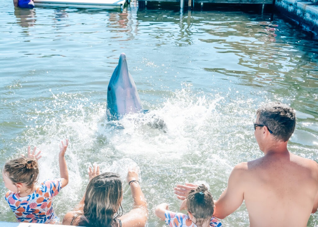 Three children and an adult watch and splash the water as a dolphin rises from the water in a sunny outdoor setting near a dock.