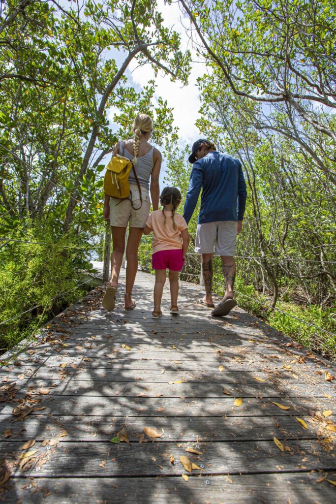 A family of three, seen from behind, walks hand-in-hand along a wooden boardwalk surrounded by lush green trees on a sunny day.